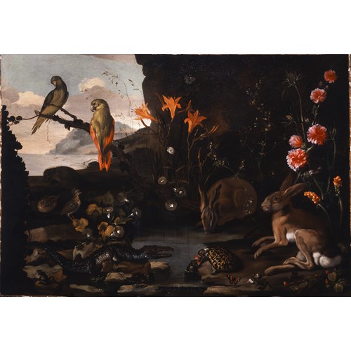 A Sottobosco fantasy of flora and fauna